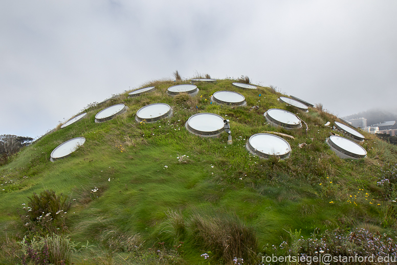 California Academy of Science 2021